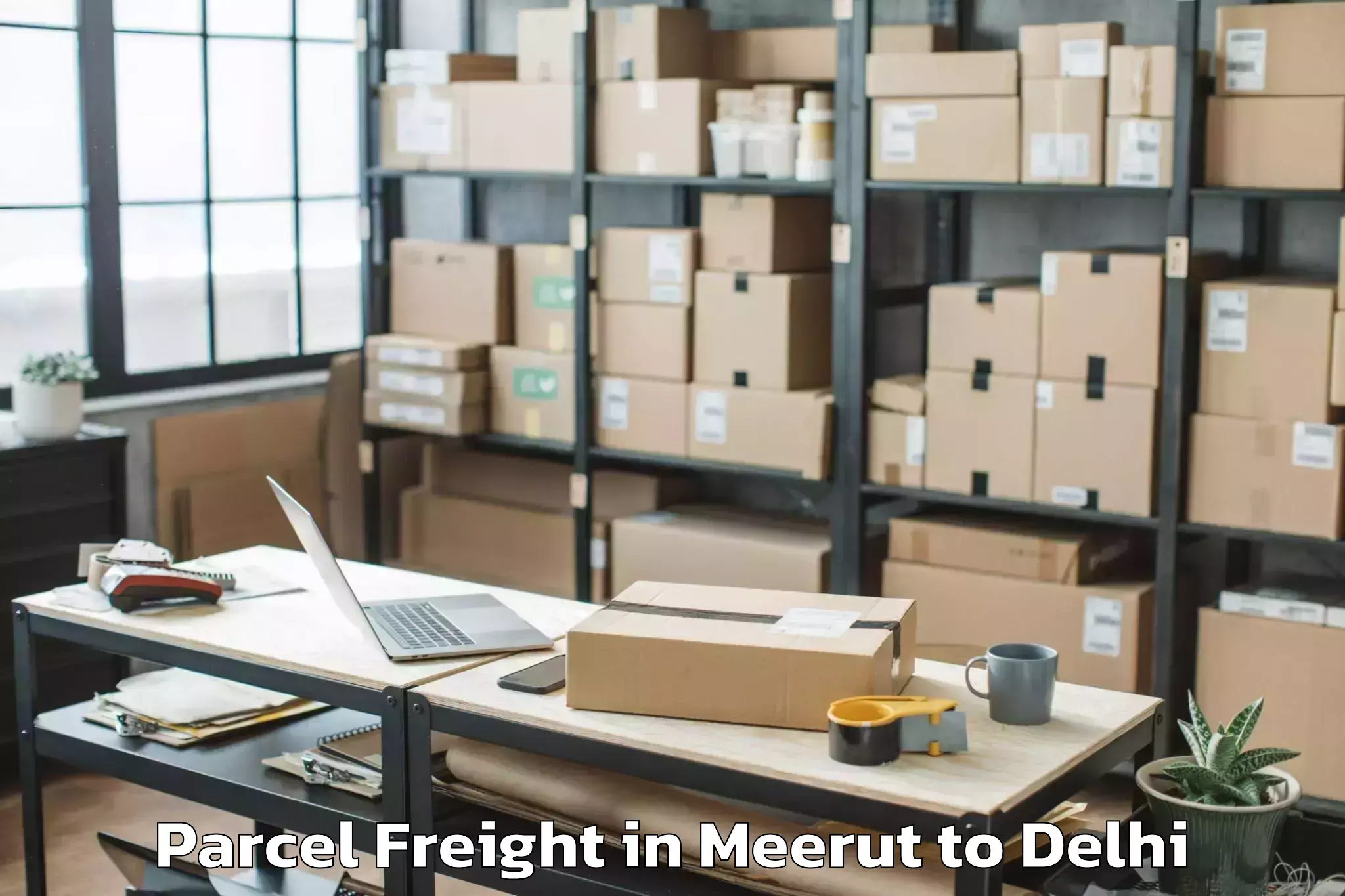 Discover Meerut to Palam Parcel Freight